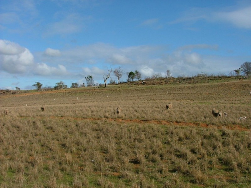 Lot 5 & 6 Law, Rockleigh SA 5254