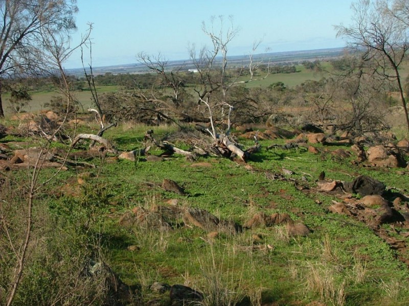 Lot 5 & 6 Law, Rockleigh SA 5254