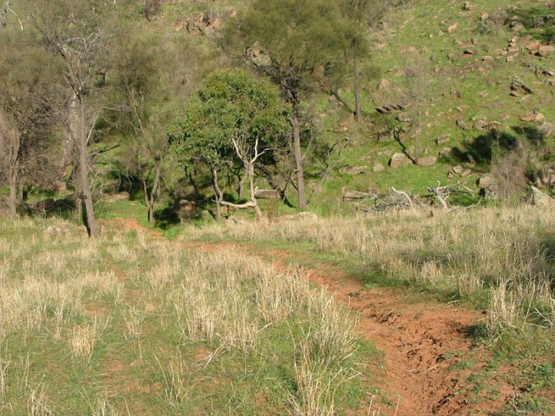 Lot 5 & 6 Law, Rockleigh SA 5254