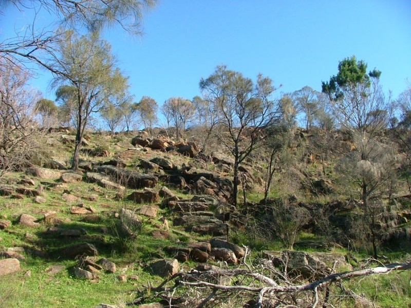 Lot 5 & 6 Law, Rockleigh SA 5254