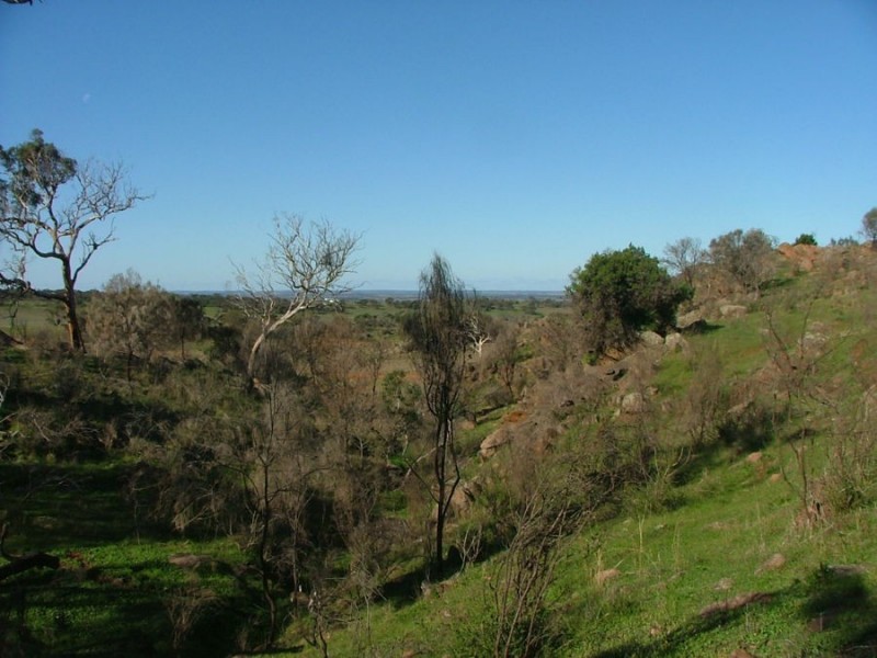 Lot 5 & 6 Law, Rockleigh SA 5254