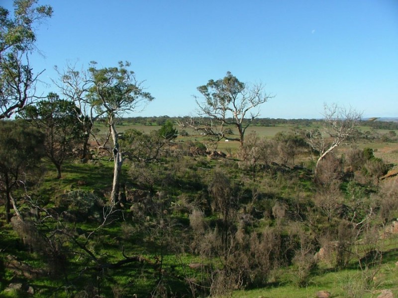 Lot 5 & 6 Law, Rockleigh SA 5254