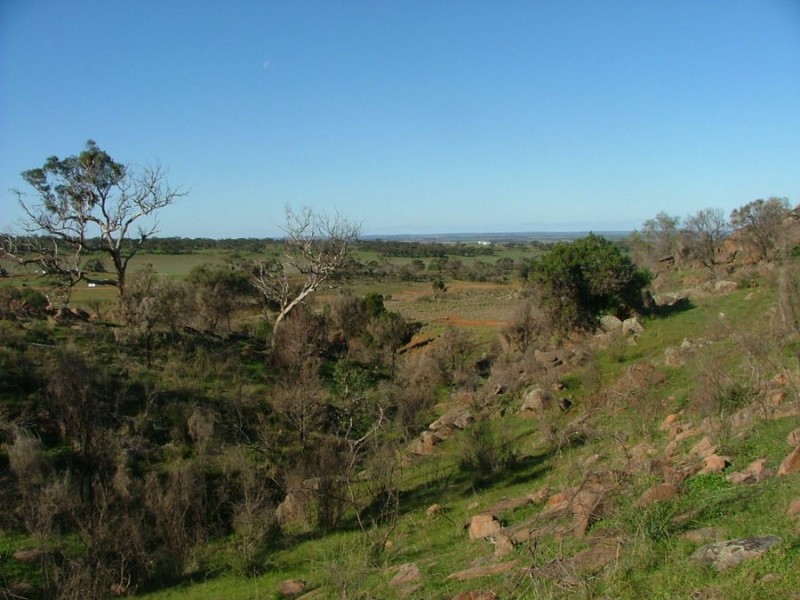 Lot 5 & 6 Law, Rockleigh SA 5254