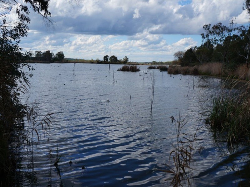 2 Swan Road, Murray Bridge SA 5253