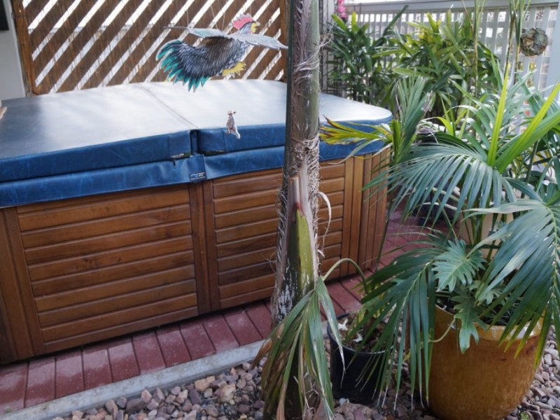 2 Swan Road, Murray Bridge SA 5253