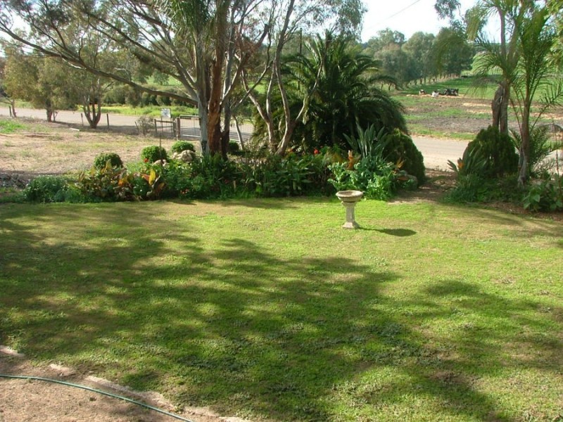 1815 Jervois Road, Murray Bridge SA 5253