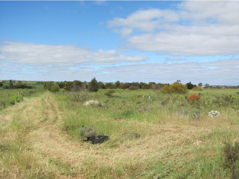 31 Golf Course Road, Tailem Bend SA 5260
