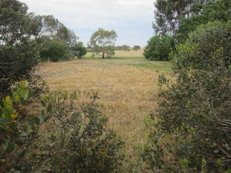 46 Sandergrove Road, Strathalbyn SA 5255