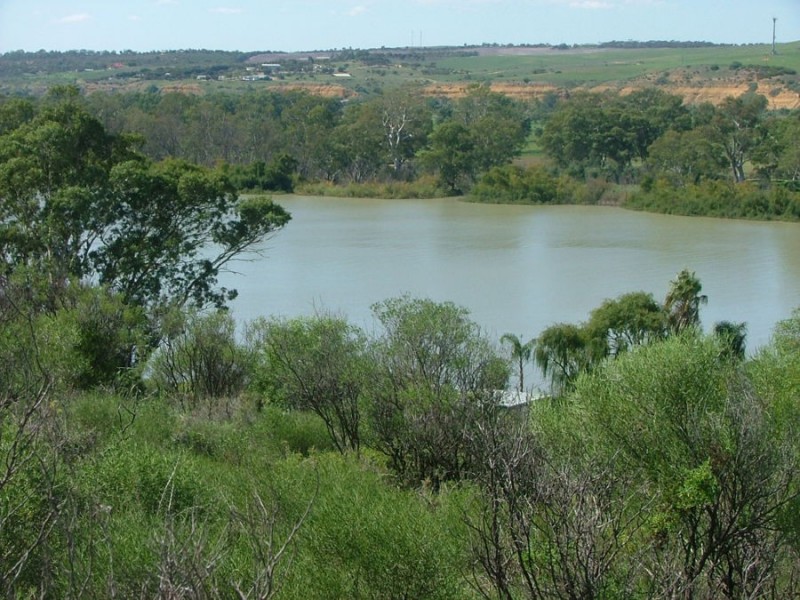 664 The Esplanade, Mannum SA 5238