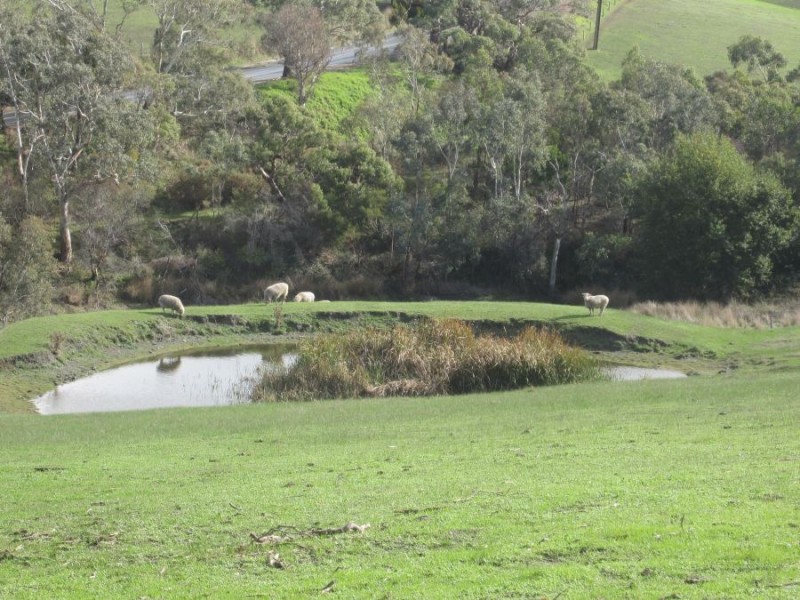 193 Paris Creek Road, Paris Creek SA 5201