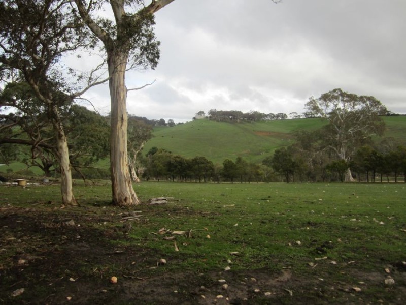 193 Paris Creek Road, Paris Creek SA 5201