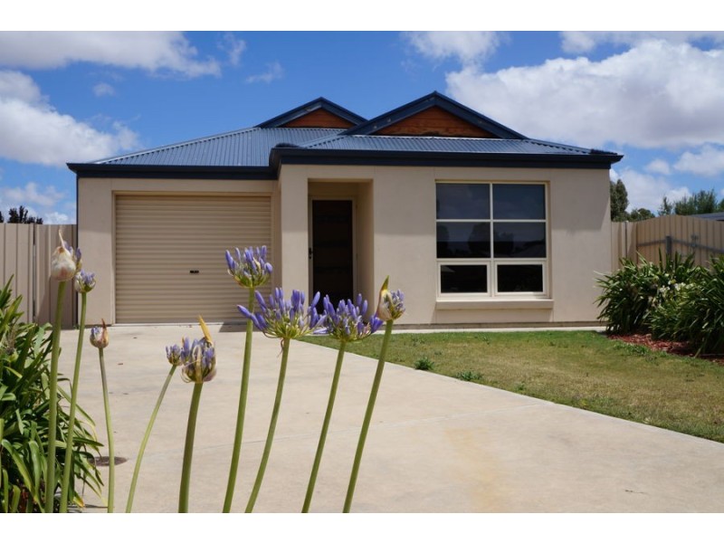 7 Nilfred Court, Murray Bridge SA 5253