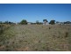 57 Prosperity Grove, Murray Bridge SA 5253