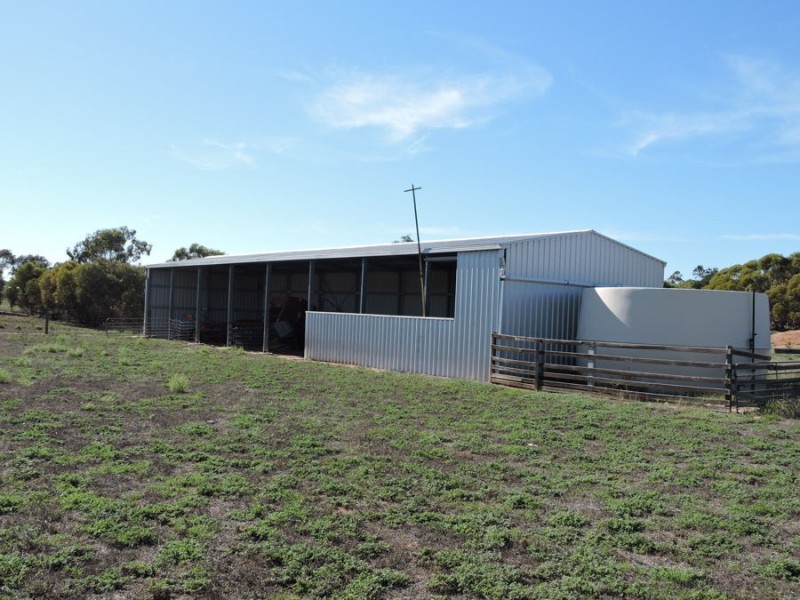 44 Bluebush, Murray Bridge SA 5253