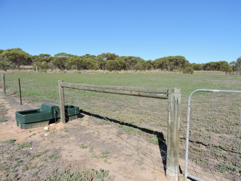 44 Bluebush, Murray Bridge SA 5253