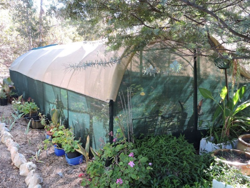 44 Bluebush, Murray Bridge SA 5253