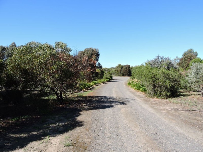 44 Bluebush, Murray Bridge SA 5253