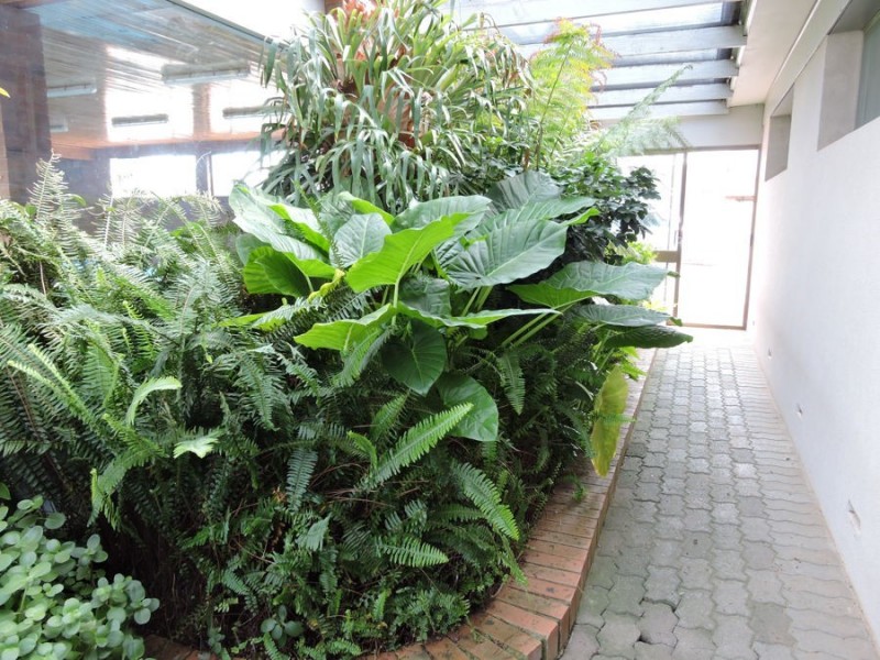 21 Maurice, Murray Bridge SA 5253