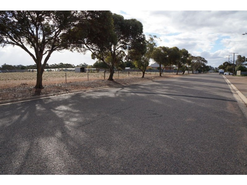 42 Lachlan Avenue, Murray Bridge SA 5253