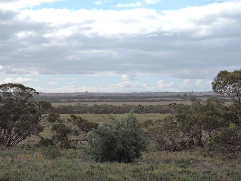 1439 Bowhill Road, Ettrick SA 5253