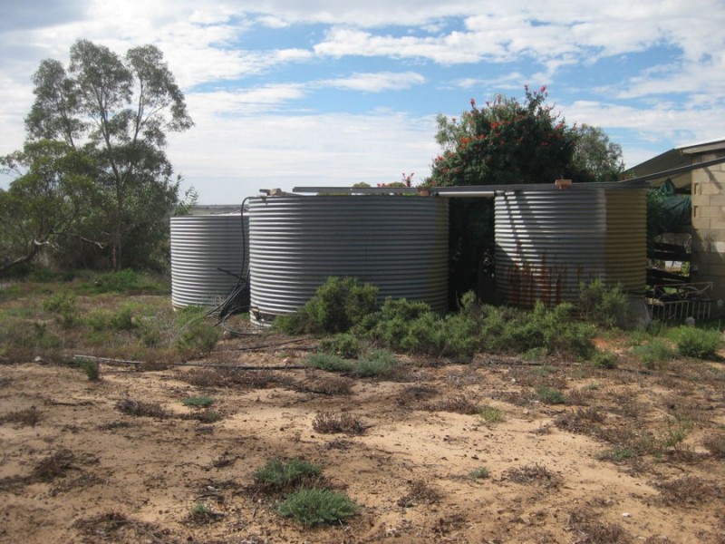 1439 Bowhill Road, Ettrick SA 5253