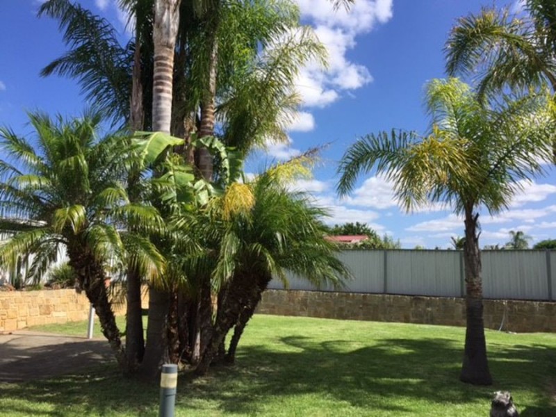 15 Valencia, Murray Bridge SA 5253