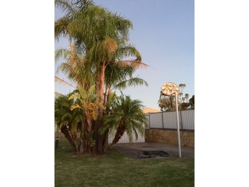 15 Valencia, Murray Bridge SA 5253