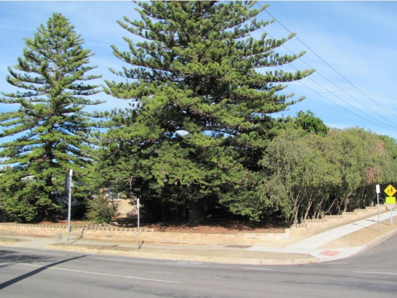 46 Mannum Road, Murray Bridge SA 5253