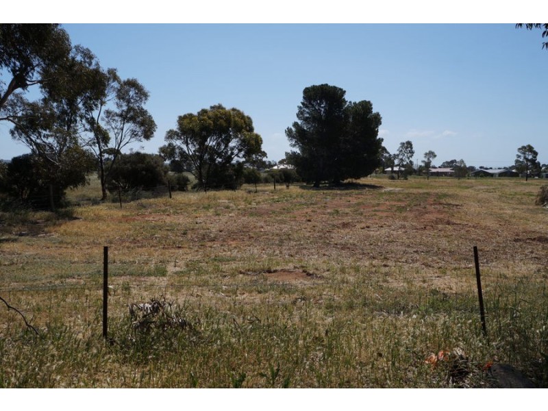 9 McQuarrie Street, Murray Bridge SA 5253