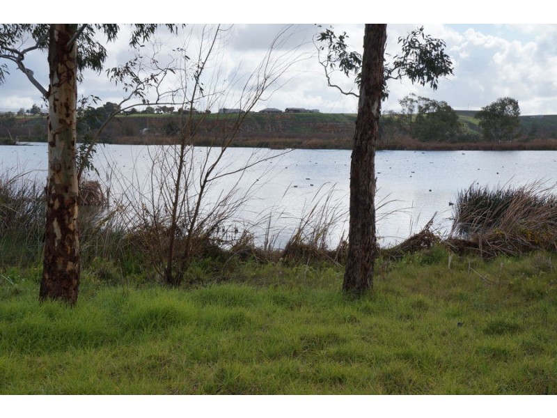 4 Tumut Road, Murray Bridge SA 5253