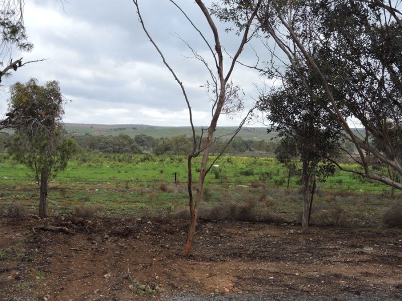 663 Belvedere, Mannum SA 5238