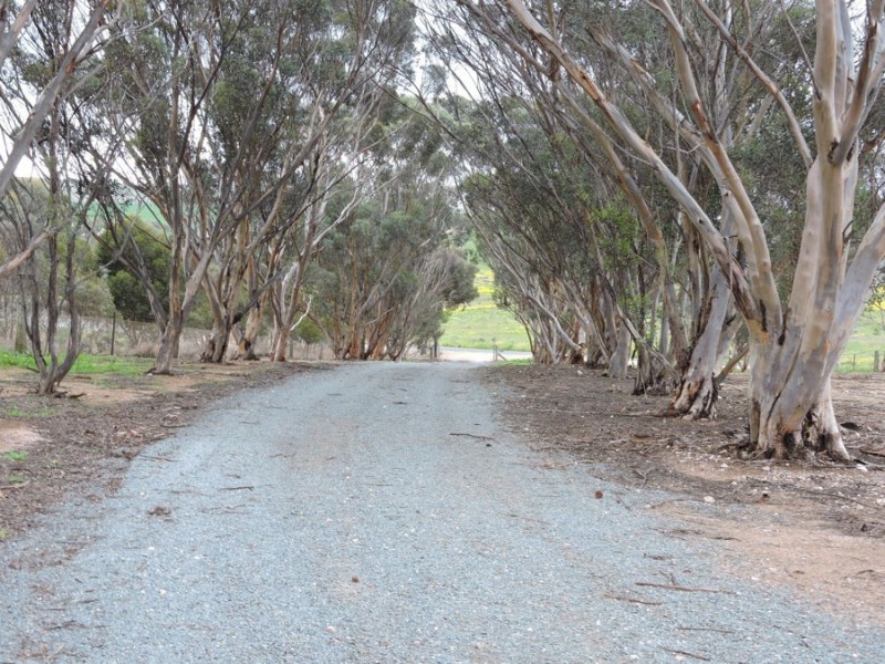 663 Belvedere, Mannum SA 5238