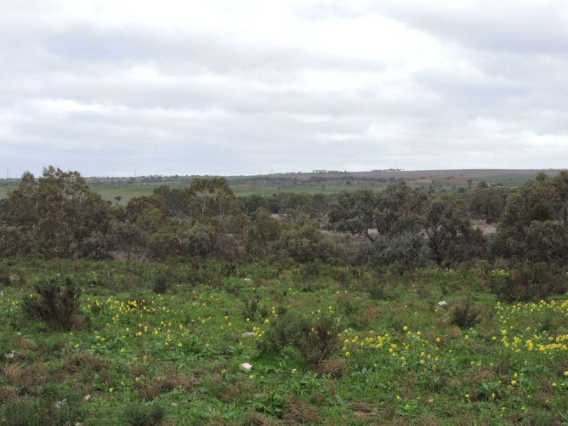 663 Belvedere, Mannum SA 5238