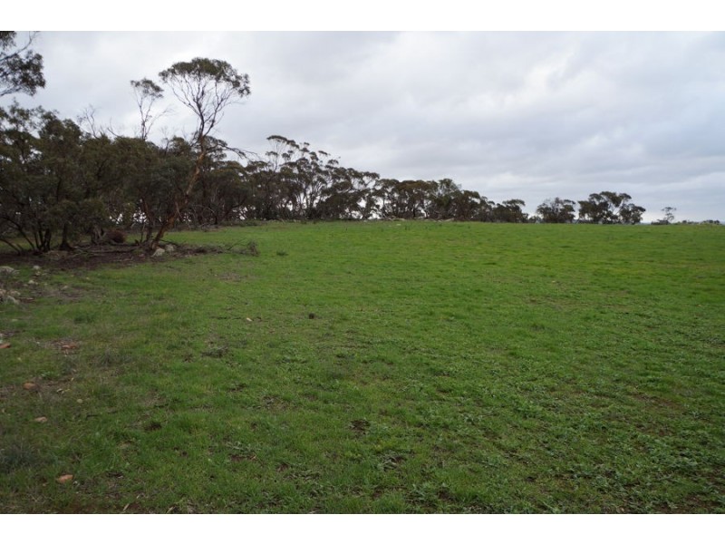 Lot 5 Anders Road, Monarto SA 5254