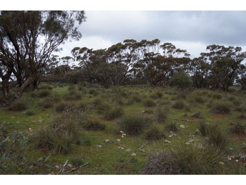 Lot 5 Anders Road, Monarto SA 5254