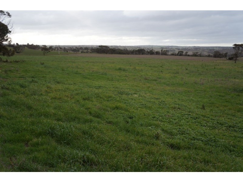 Lot 5 Anders Road, Monarto SA 5254