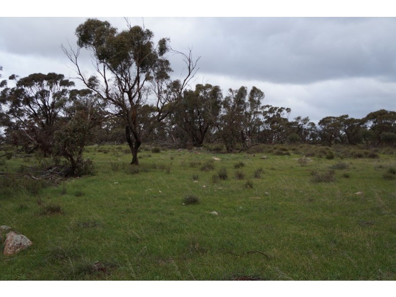 Lot 5 Anders Road, Monarto SA 5254