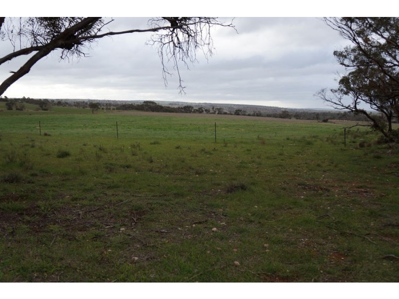 Lot 5 Anders Road, Monarto SA 5254