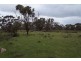 Lot 5 Anders Road Monarto, Murray Bridge SA 5253