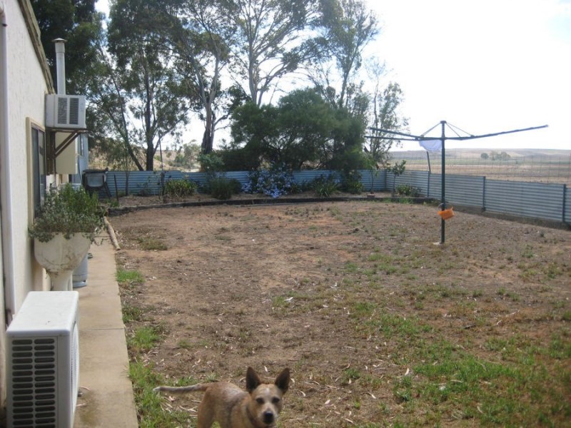 Corner Nilpena & Lagoon Road, Murray Bridge SA 5253