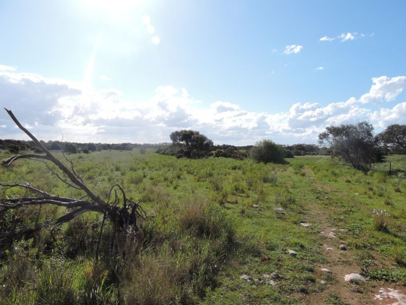 Lot 4 Off Princes Highway, Tailem Bend SA 5259