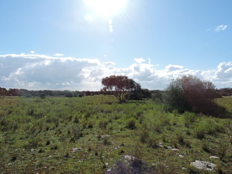 Lot 4 Off Princes Highway, Tailem Bend SA 5259