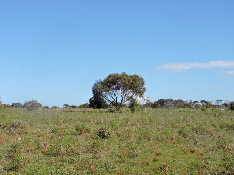Lot 4 Off Princes Highway, Tailem Bend SA 5259