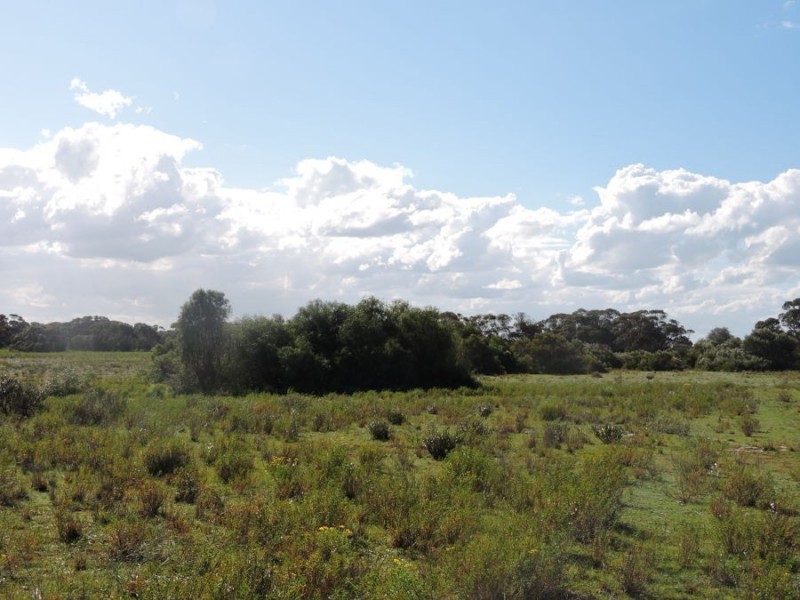 Lot 4 Off Princes Highway, Tailem Bend SA 5259