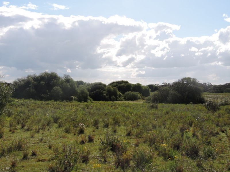 Lot 4 Off Princes Highway, Tailem Bend SA 5259