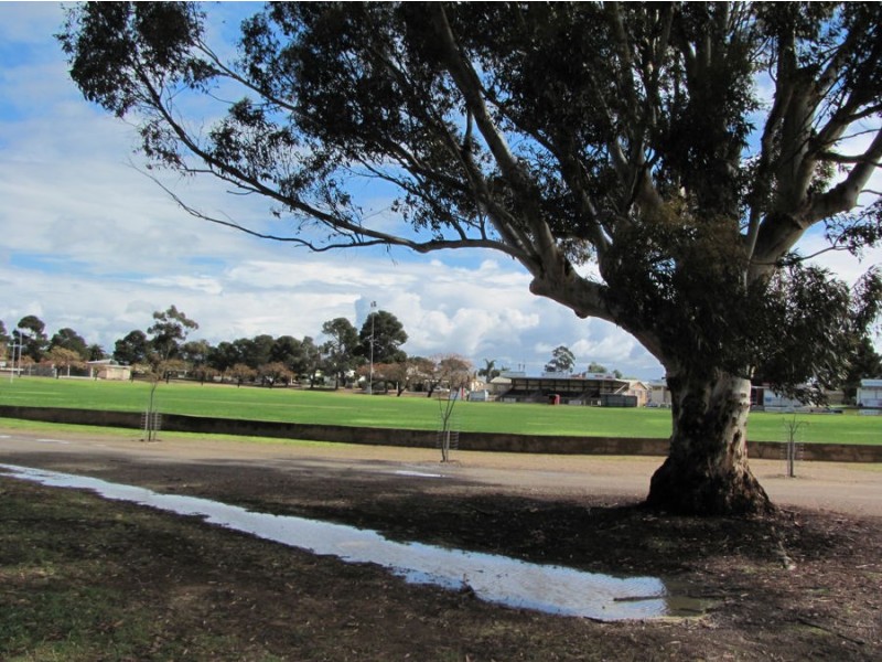 8A Alice Terrace, Murray Bridge SA 5253