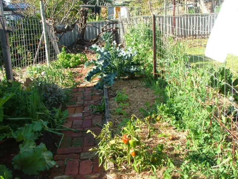 45 Verdun Road, Murray Bridge SA 5253