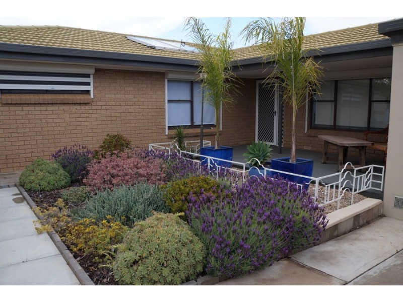 31 Cawte Street, Murray Bridge SA 5253