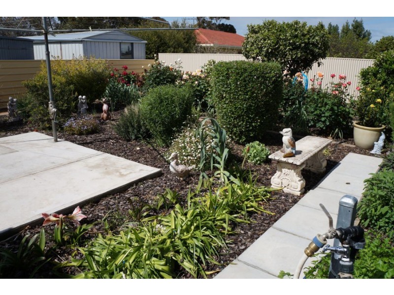 31 Cawte Street, Murray Bridge SA 5253