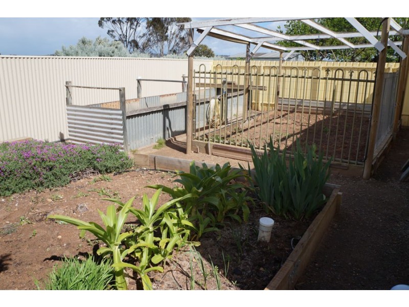 31 Cawte Street, Murray Bridge SA 5253